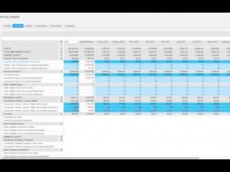 DEMO: Infor d/EPM v11.0 from a planner perspective