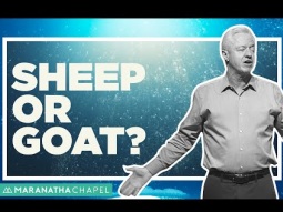 Sheep or Goat? - Ray Bentley