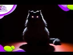 لماذا تضىء عيون القطط فى الظلام ؟!