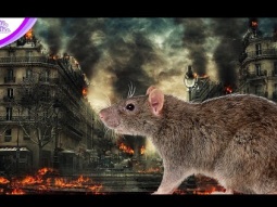 ماذا يحدث للعالم لو أنقرضت الفئران ؟