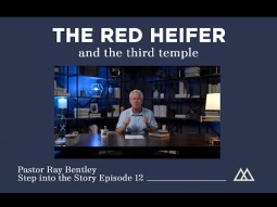 Step into the Story Episode 12: The Red Heifer and the Third Temple