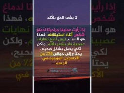 #shorts معلومات وحقائق عن الدماغ