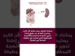 #shorts  معلومات وحقائق عن الطحال والكبد