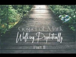 Women's Bible Study / Vicki Bentley / Tuesday at 9:30am