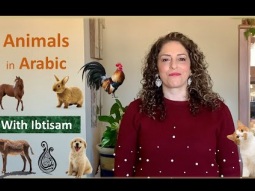Animals in Arabic (Part I) - Lesson 53