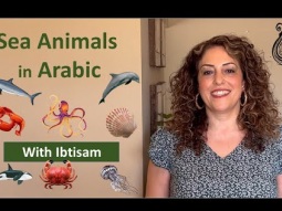 Learn Sea Animals in Arabic - Lesson 55 الحيوانات البحرية