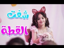 كليب | شفت القطة - بيسان صيام - karameesh tv
