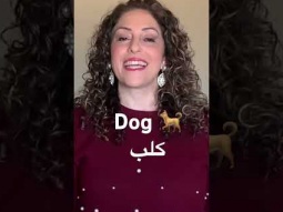 How to say dog in Arabic #dog #dogs #animal #animals #arabic #language #easy #speakarabic #learning