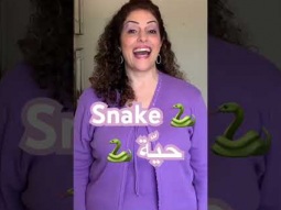 How to say snake - Arabic #snake #snakes #حية #animal #animals #arabic #language #speakarabic #learn