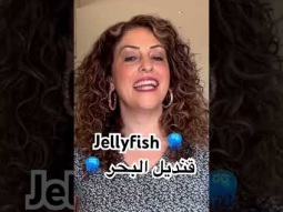 How to say jellyfish in Arabic #jellyfish #sea #arabic #language #speakarabic #learning #easy