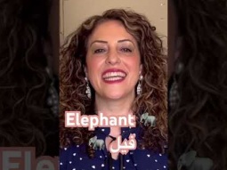How to say elephant -Arabic #elephant #animal #animals #arabic #language #speakarabic #pronunciation