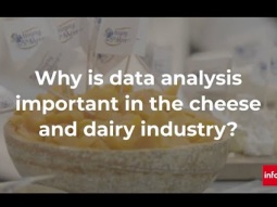 Why is data analysis important in the cheese and dairy industry?