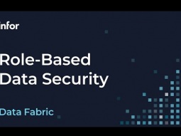 Data Fabric Security: Managing User Access and Permissions
