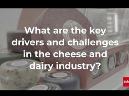 What are the key drivers and challenges in the cheese and dairy industry?