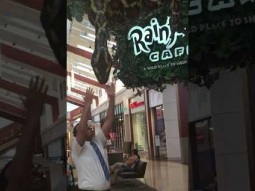 Huge snake at Rainforest cafe