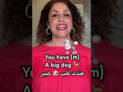 How to say you have a big dog #youhave #bigdog #arabic #language #learning #easy #speakarabic #learn