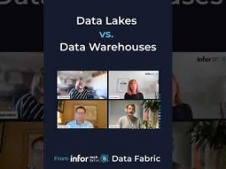 What&#39;s the difference between Data Lakes and Data Warehouses
