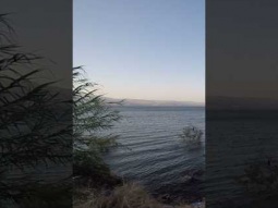 Shore of the Sea of Galilee
