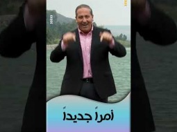 أمراً جديداً لحياتك - بداية جديدة