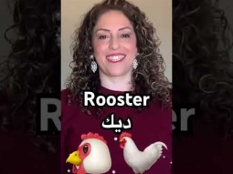 #rooster #arabic #language #speakarabic #learn #learning #easy #pronunciation #animal #pronunce
