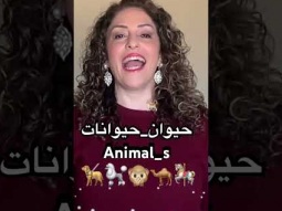 #animal #animals #حيوان #حيوانات #arabiclanguage #learn #learning #arabic #palestinian #language