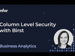 Setting up Column Level Security in Infor Birst