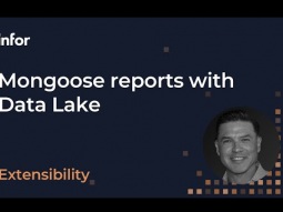 Creating Mongoose Reports with Data Lake