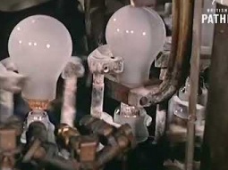 Oddly Satisfying Light Bulb Factory  #satisfying  #vintage   #manufacturing  #howitsmade