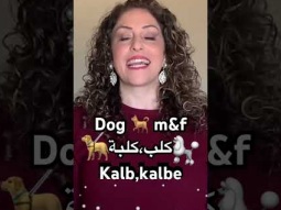 #dog #كلب #animal #pet #speakarabic #palestinian #easy #learning #learn #arabic #language #pronunce