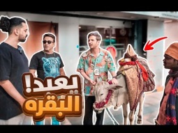 شارع الهندوس !!! يعبدون لوحة ؟؟ 