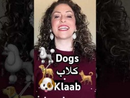 #dog #dogs #animal #animals #pet #حيوان #كلب #كلاب #أليف #اليفة #speakarabic #pronunciation #learn