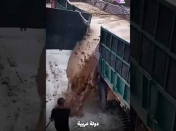 العرب يشترون روث البقر !!