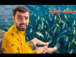جربت اغرب 5 تجارب بتايلند !!