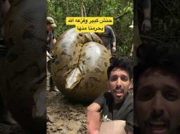 #ردات_فعل #غرائب