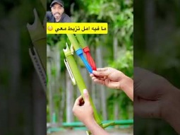 #ردات_فعل #غرائب