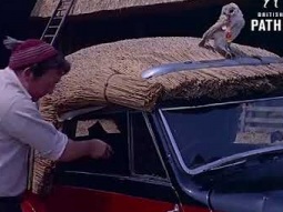 The Man Who Thatched His Car #interesting #cars #design #automobile #vintage #shorts