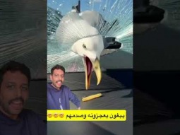 #ردات_فعل #