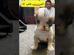 #ردات_فعل #اكسبلور