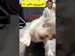 #ردات_فعل #اكسبلور #ترند