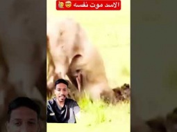 #اكسبلور
