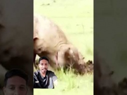 #ردات_فعل