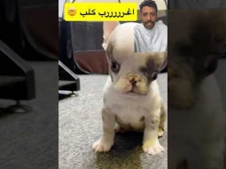 #ردات_فعل #غرائب