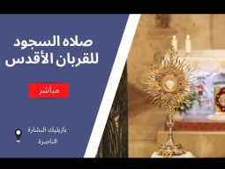 صلاه السجود للقربان الأقدس في بازيليك البشارة - ١٤ آب ٢٠٢٥