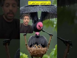 #ردات_فعل #غرائب #اكسبلور