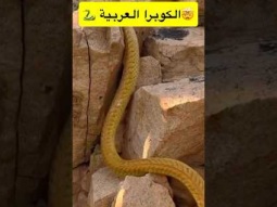 #ردات_فعل #اكسبلور