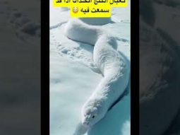 #غرائب #الثلج #ردات_فعل #اكسبلور
