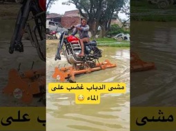 مشى الدباب على الماء