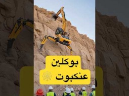 #ردات_فعل #اكسبلور