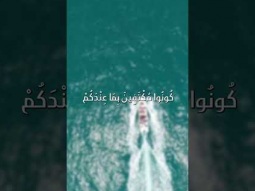 انا هو الراعي الصالح  #اكسبلور #music #جديد #اكسبلور #جديد #تيك_توك #تيك_توك #موسيقى #اغاني