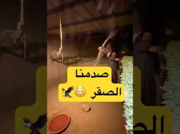 #ردات_فعل #اكسبلور #صقر